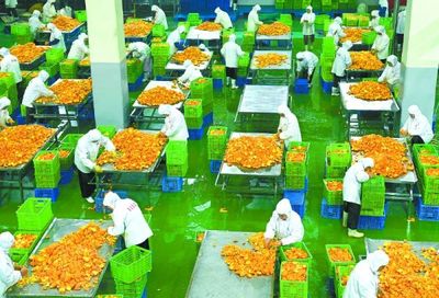 農產品從田間進車間上‘云端’ 現代農業銷售模式的新變革