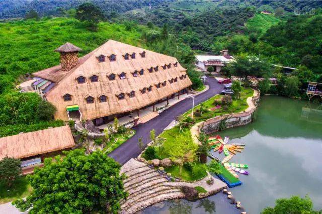 柿子紅啦！佛山周邊賞秋柿，兩天玩轉桂峰村“柿”外桃源與神秘黑熊基地